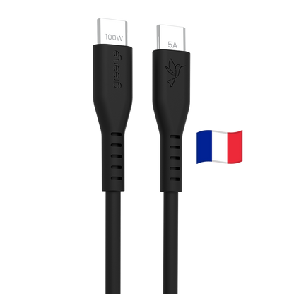 Câble USB-C 100W Fabriqué en France, 3,0 m, Noir